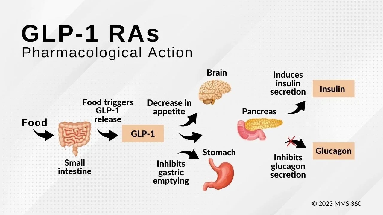 Come agiscono gli agonisti del recettore GLP-1 su intestino, pancreas, stomaco e cervello (schema)
