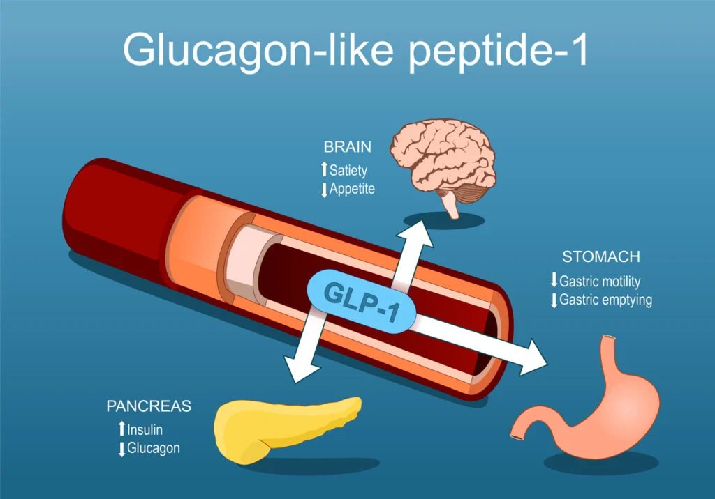 Agonisti del GLP-1 nella letteratura: semaglutide, tirzepatide, cagrilintide e retatrutide